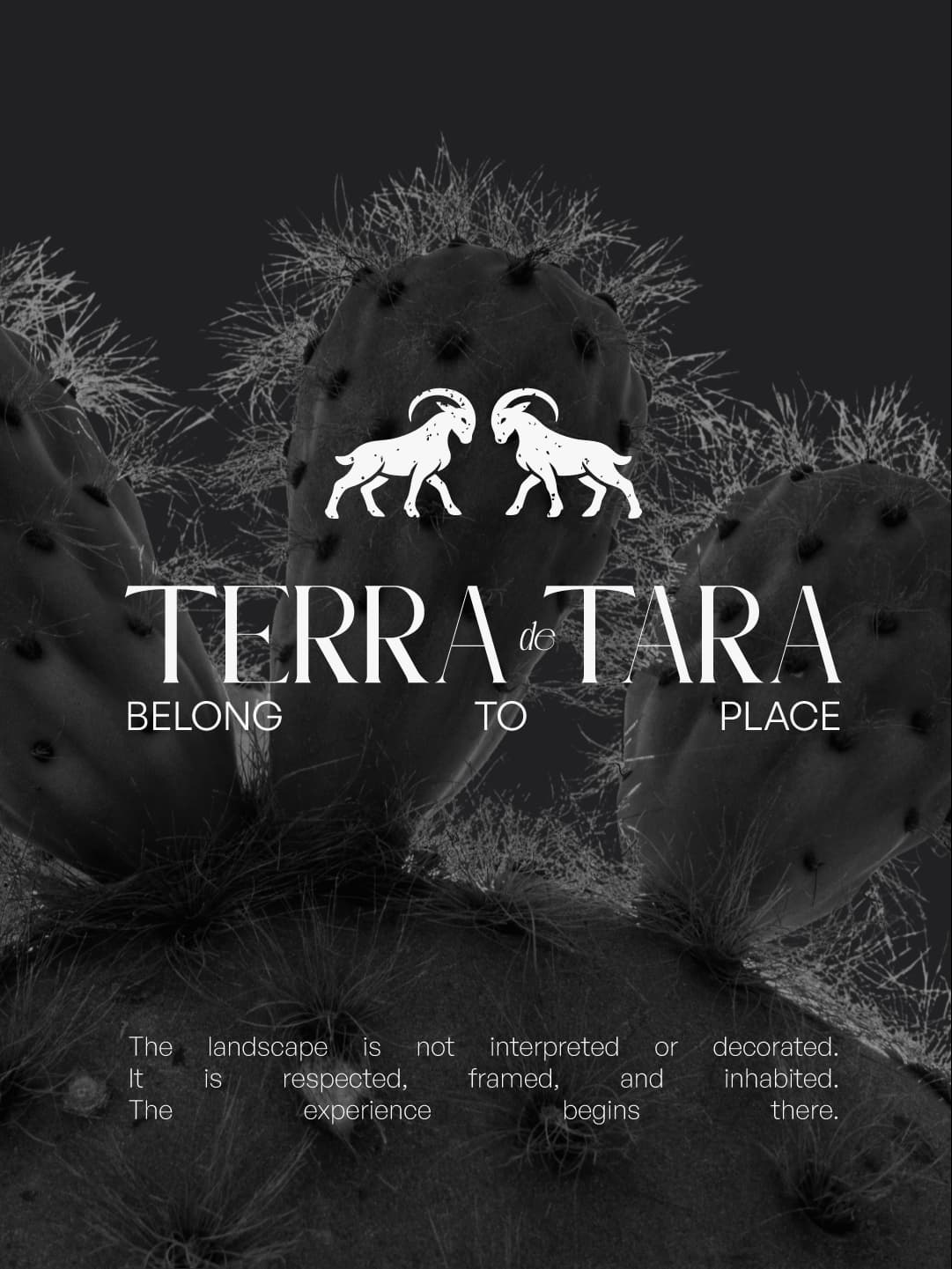 Proyecto de branding para marca de hotel boutique