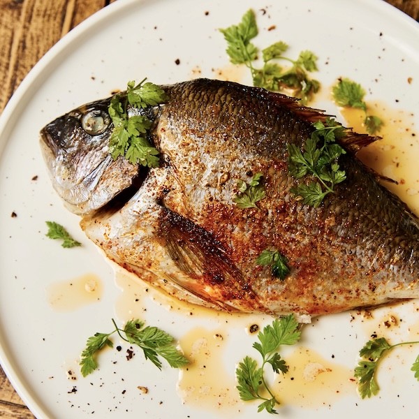 Le poisson du jour du rennequin