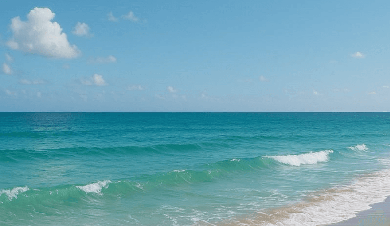 Work-Life Balance Couching