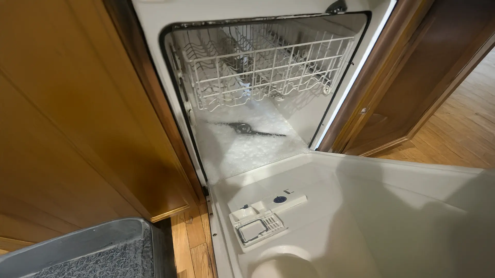 Dishwasher appliance repair