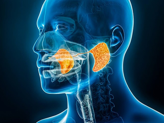 Oral Cancer: Understanding the Signs and the Importance of Early Detection