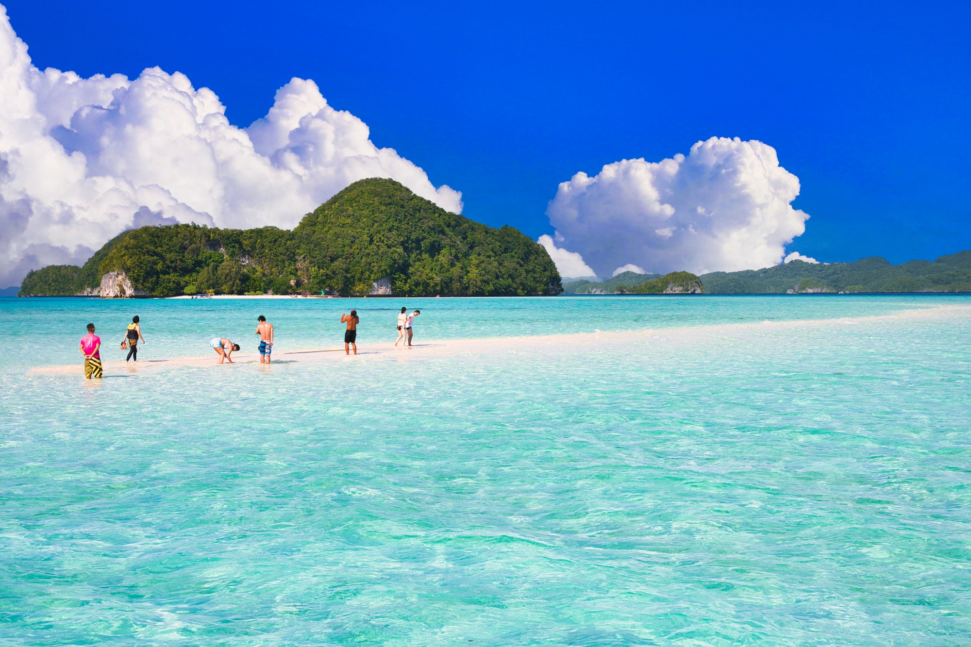 aerial view of buildings and flying birds