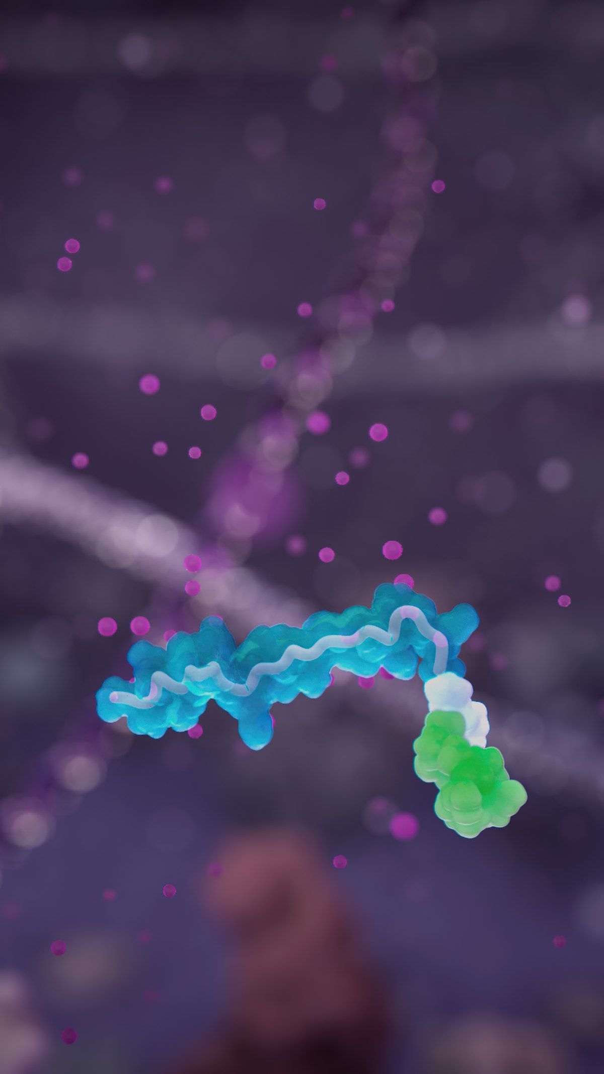 Peptide-drug conjugate in helical conformation
