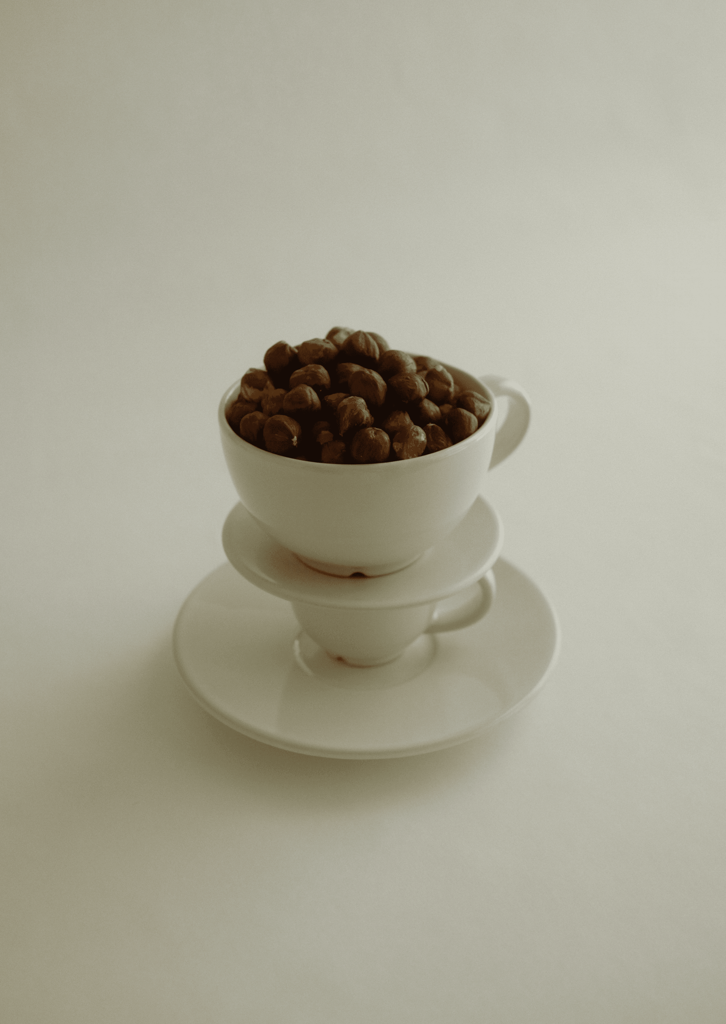 photography by selina donohoe - brand identity