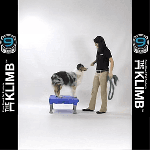 The KLIMB™ Dog Training Platform And Agility System