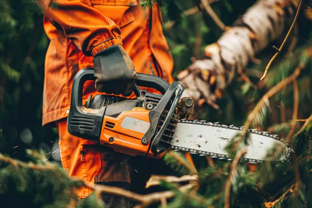 Caldwell tree trimming