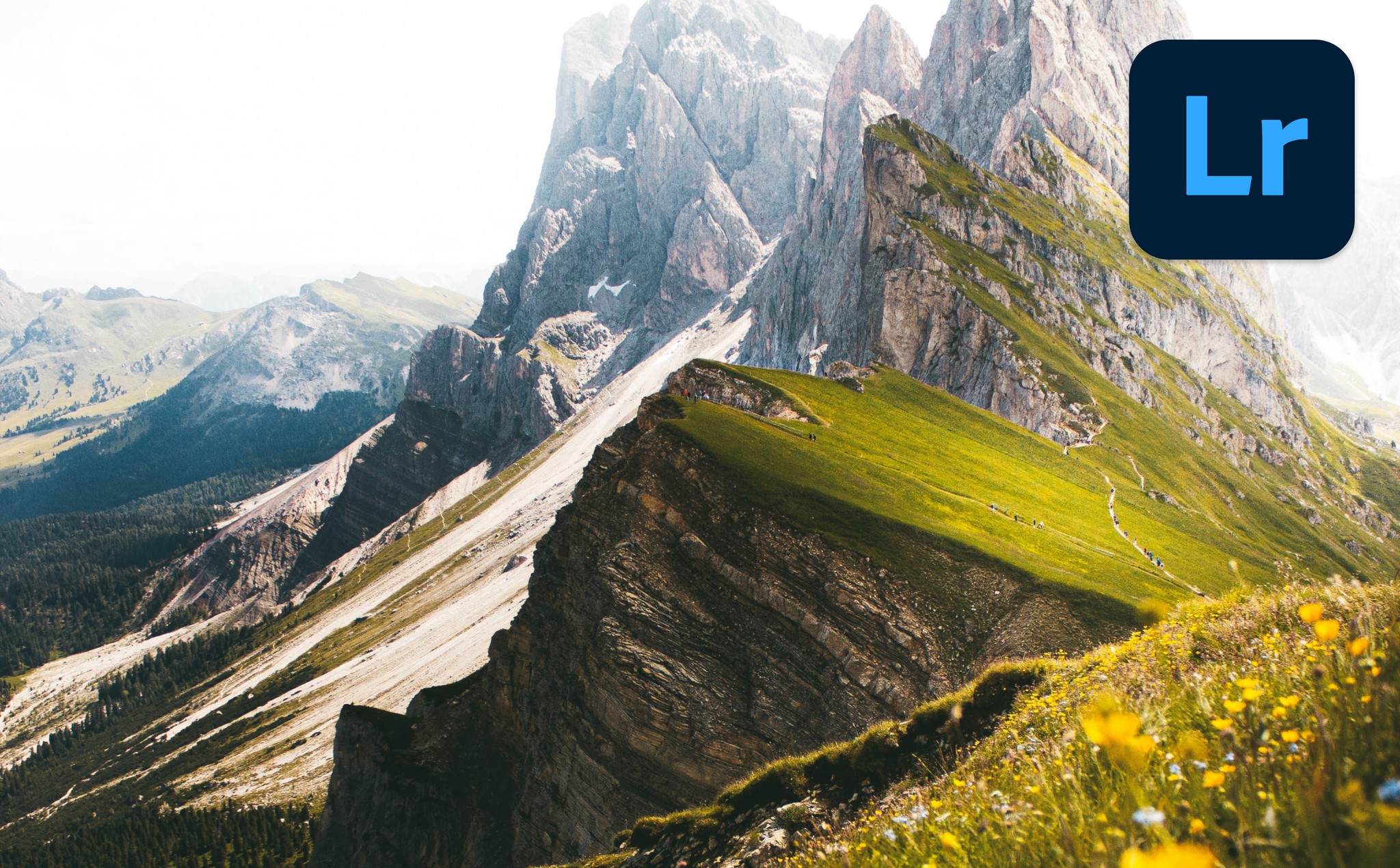 A field of colorful flowers on a slope with green and grey mountains in the background