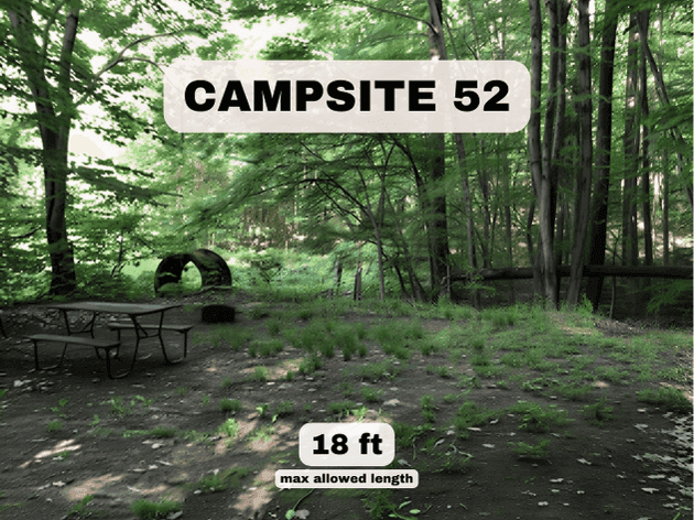 Campsite 52 at Pine Hollow Campground, a 18ft wooded RV site with a picnic table, fire ring, and shaded forest view