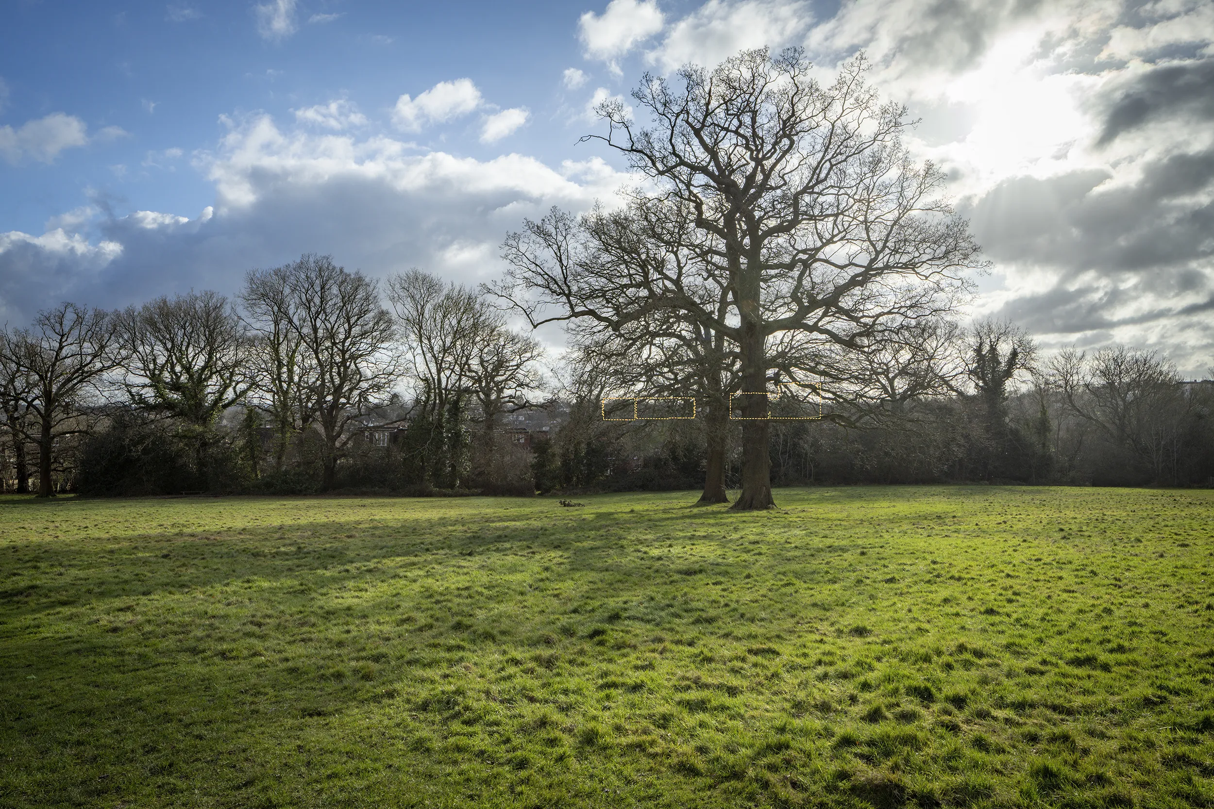 Type 4 AVR Level 1 wireline verified view due south across King George's Fields east of Shirebourne, with filtered winter views of the tops of the buildings through layered tree coverage. Produced by Eye-kon.