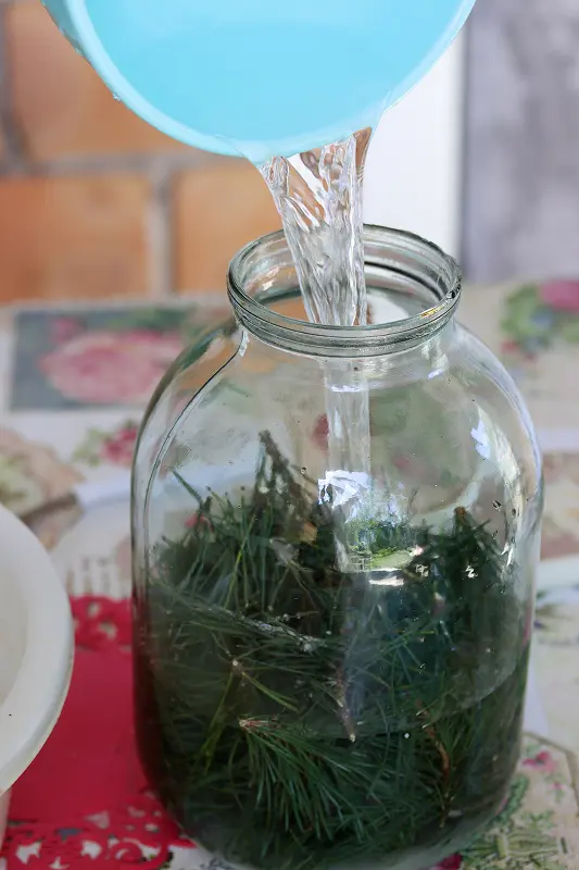 making a homemade herbal remedy