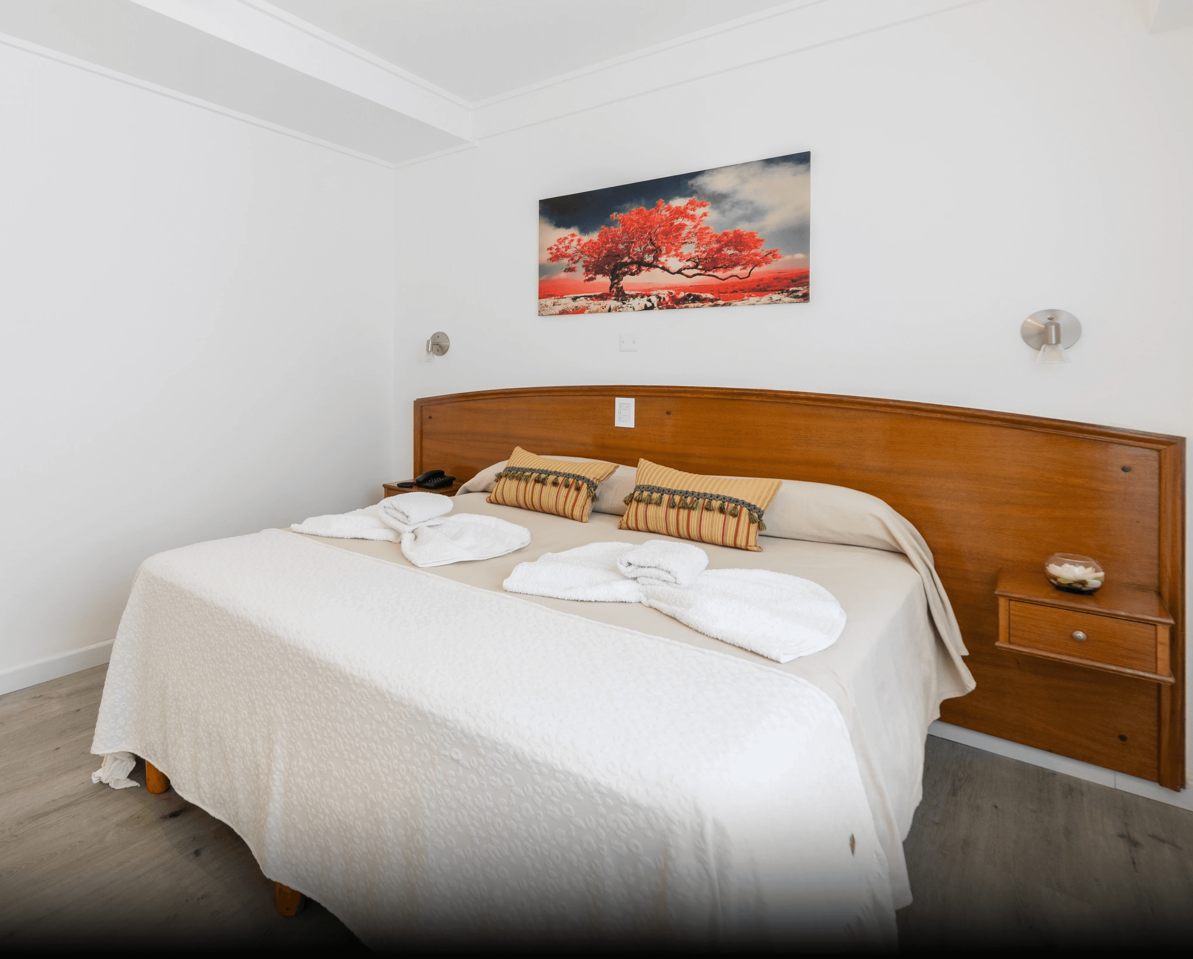 Luxurious Room