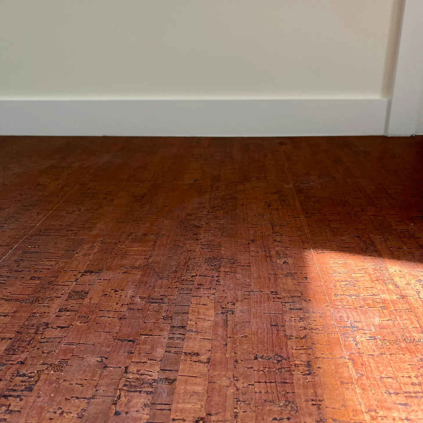 Cork floors catching golden hour light