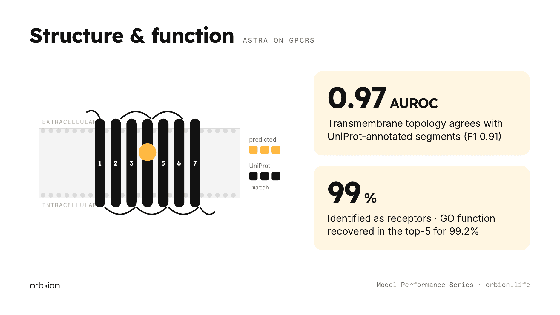 Transmembrane topology agrees with UniProt annotation at AUROC 0.97