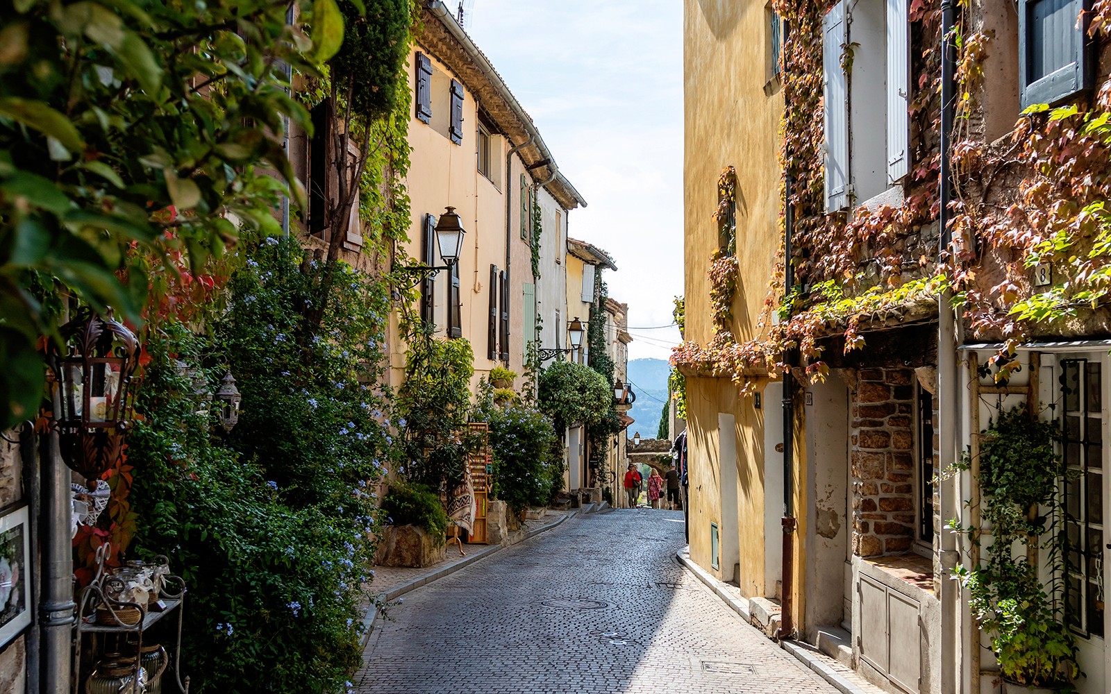 Narrow cobblestone street in Bandol, France, lined with ivy-covered buildings.