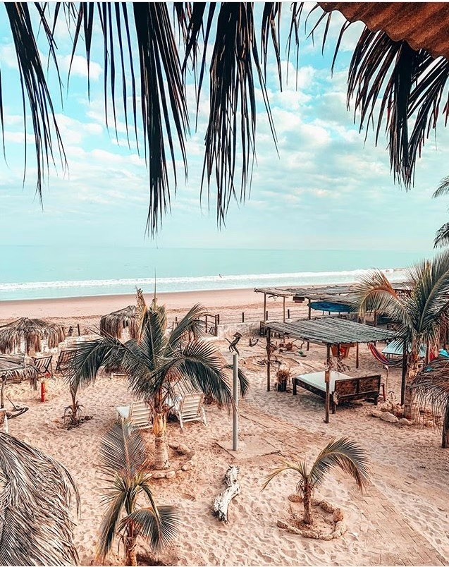 Beach resort area with palm trees, thatched umbrellas, and lounge beds facing the ocean.