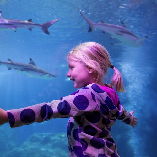 SEA LIFE Oberhausen: Eintrittskarten in Oberhausen