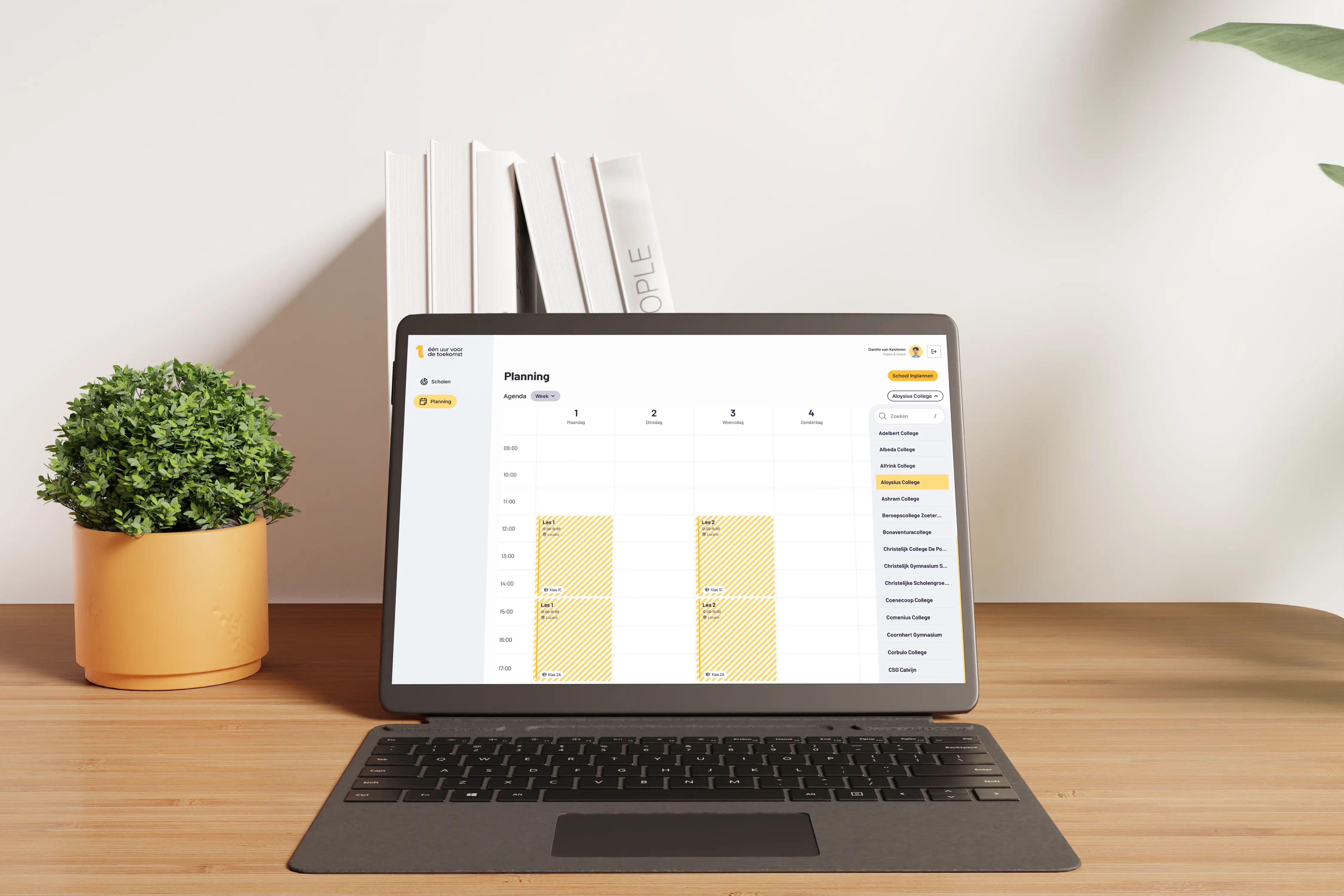 Yellow ginkgo leaves against a blue sky