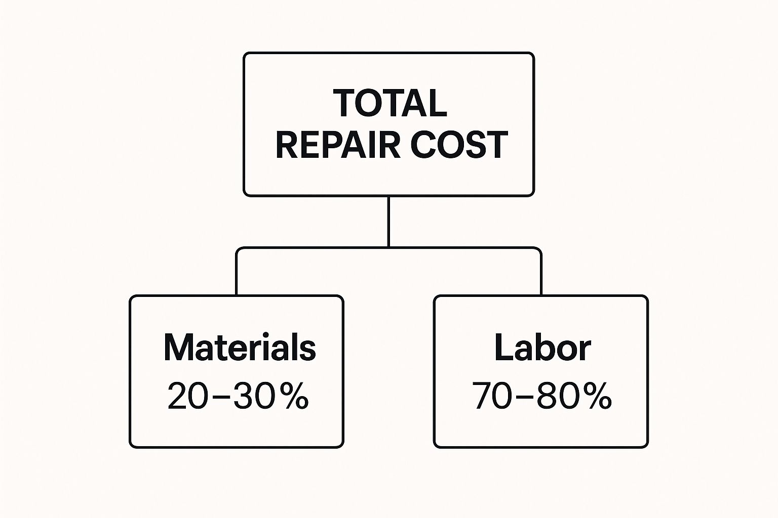 Infographic about auto glass chip repair cost