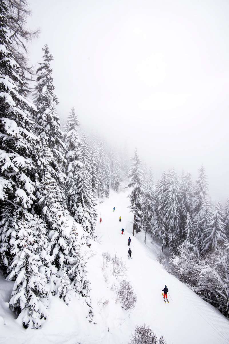 A group of people hike along a snow-covered path through a dense forest of frost-covered evergreen trees in fog.