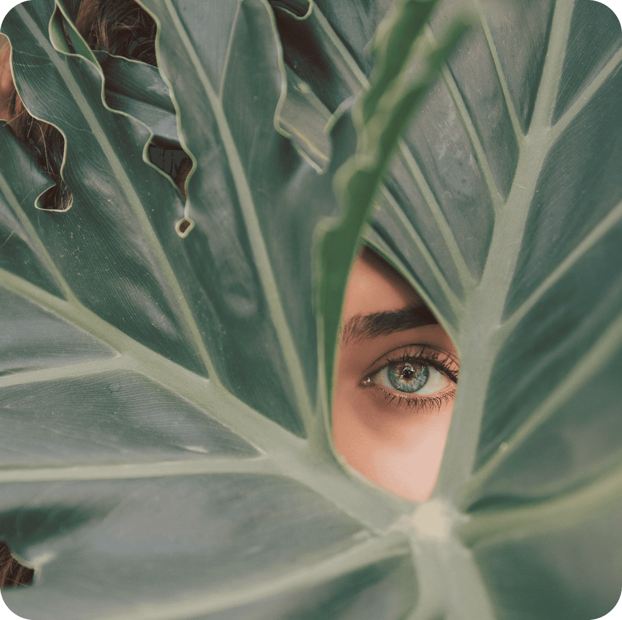 Smiling woman with a dab of moisturizer on her nose, eyes closed, enjoying her skincare routine