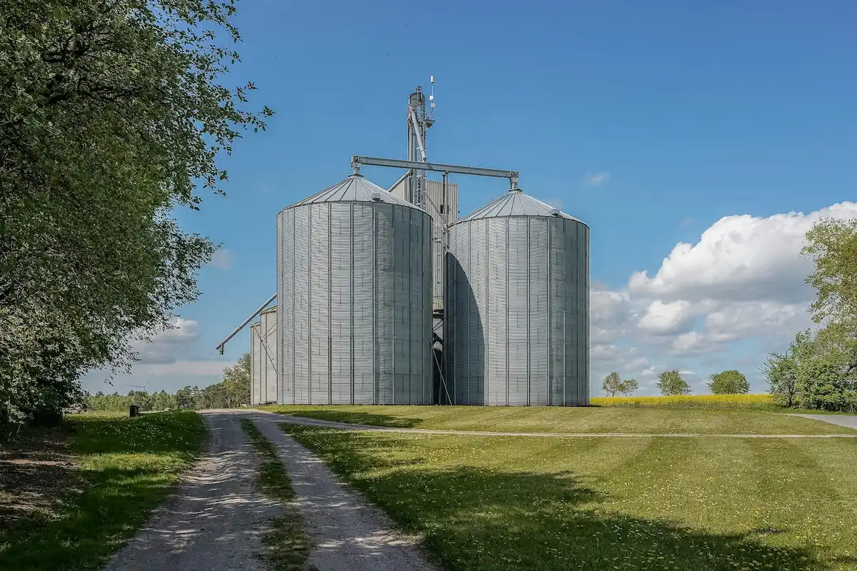Silos de granero junto a un camino rural