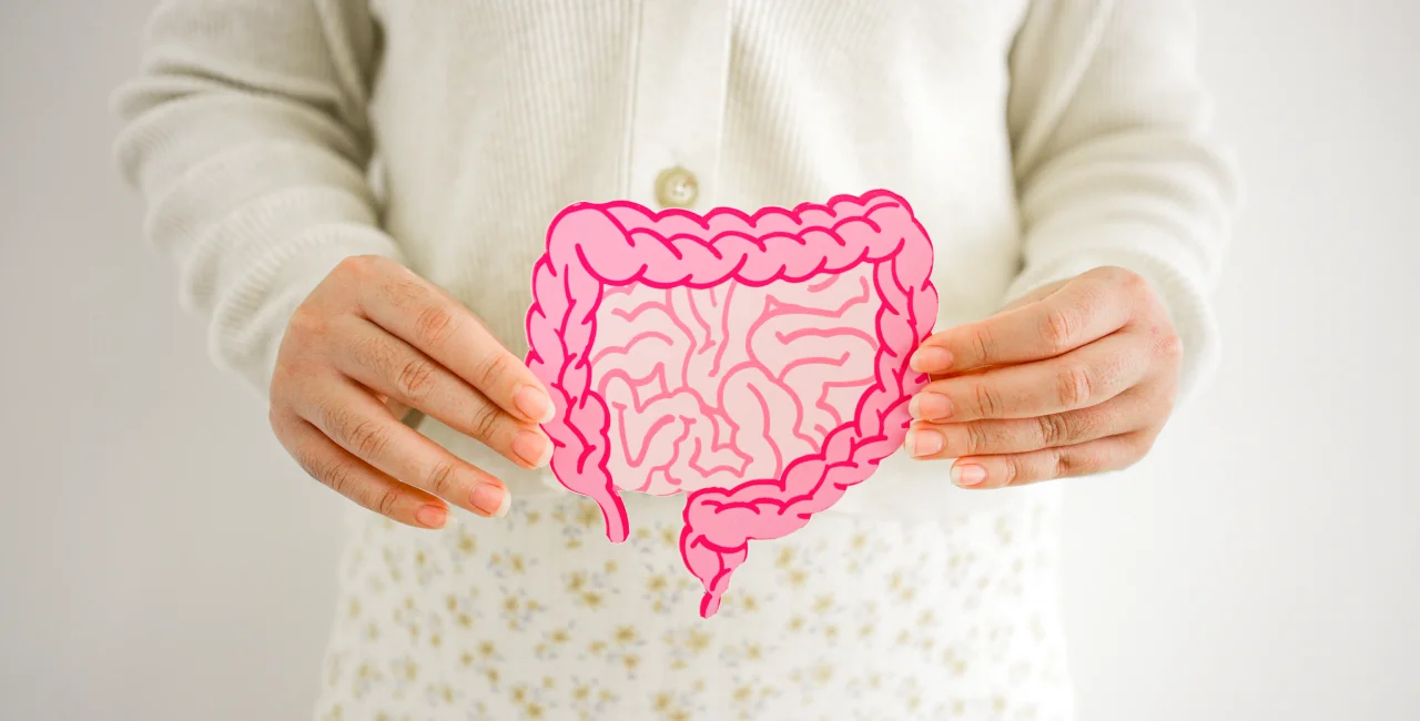 Hands holding a pink illustration of intestines, representing gut health.
