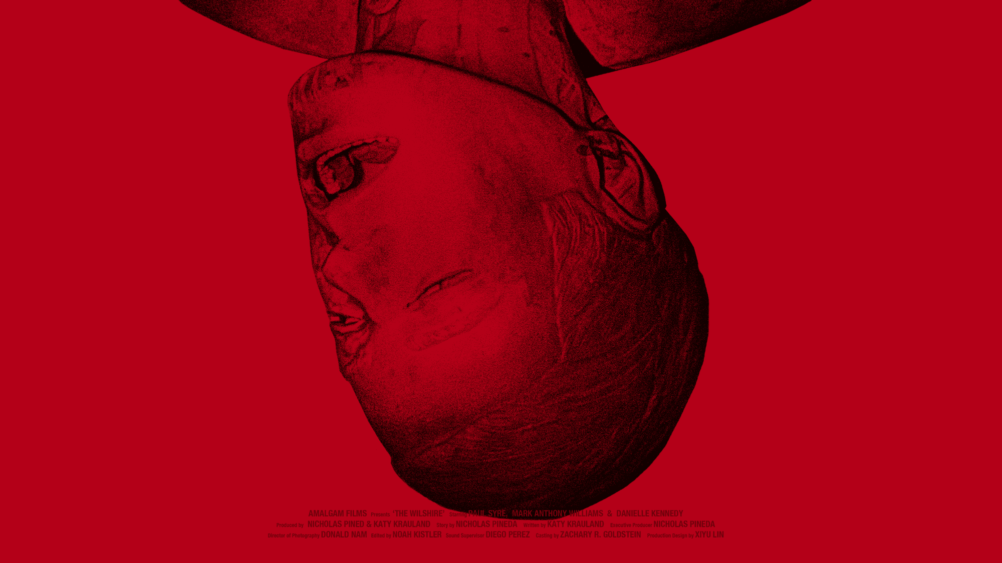 Album Photo Real Mehedi Free Framer Template Photography