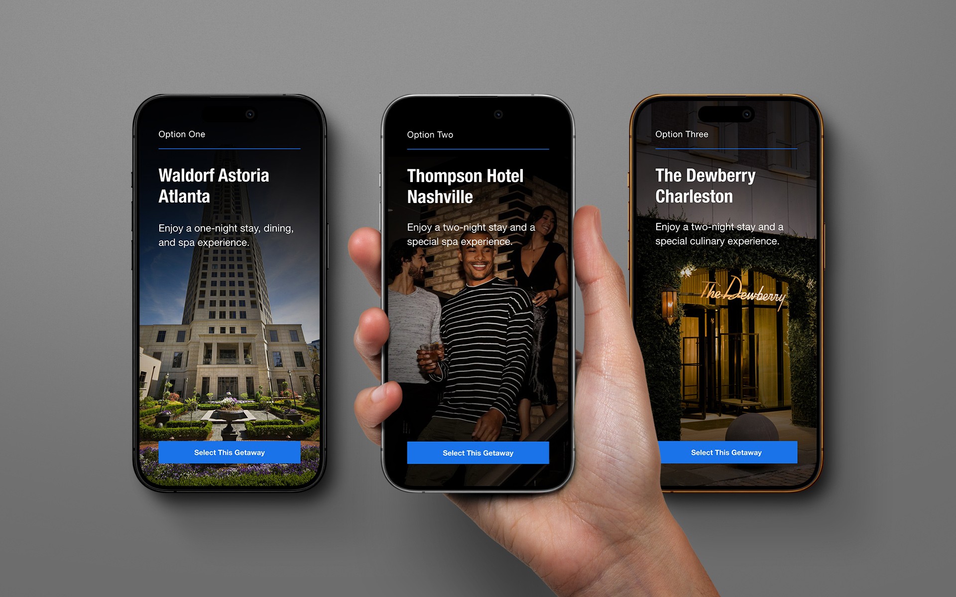 Large Project Gallery Image #3