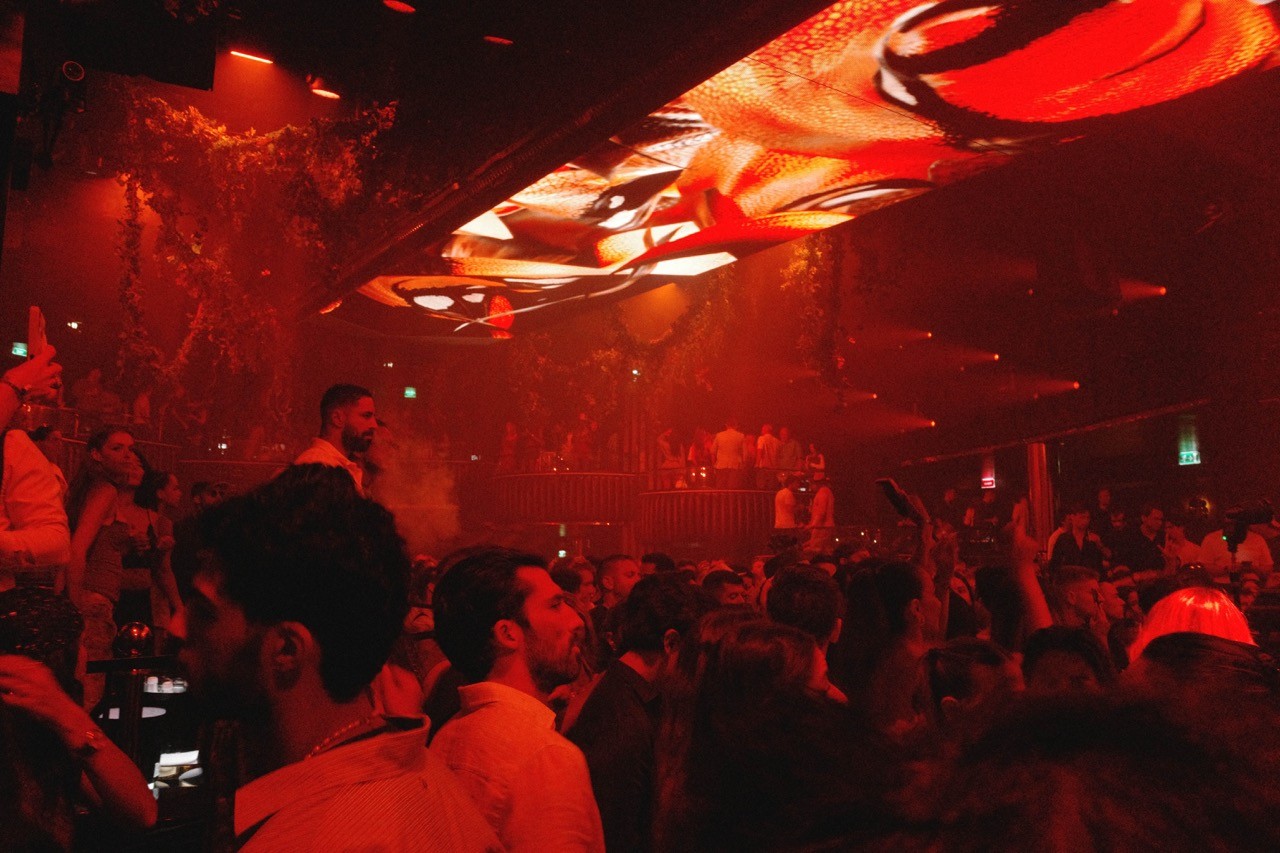 Crowd beneath teal laser lights at a nightclub