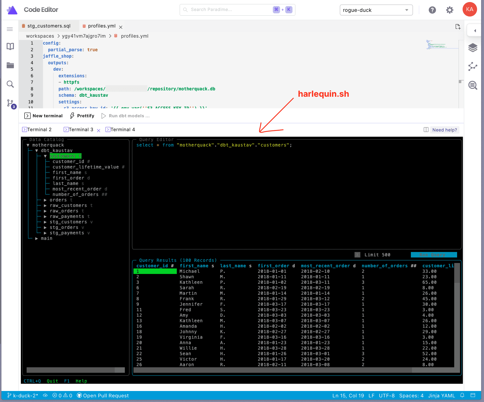 Harlequin IDE - a fully functional query IDE in the Paradime terminal | Analytics Engineering using dbt™