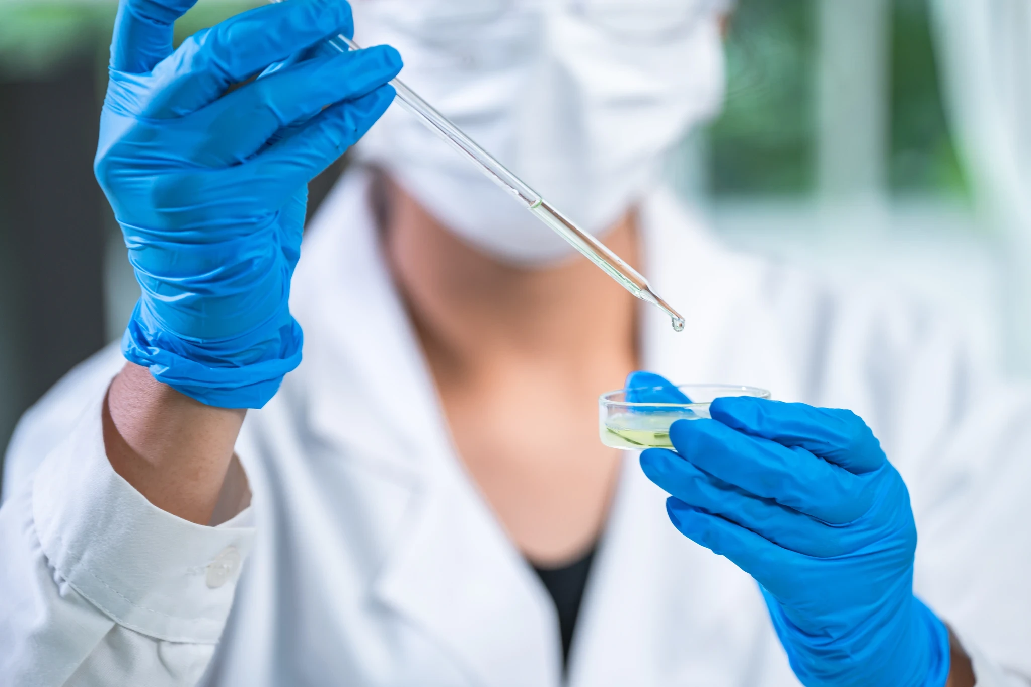 Scientist in a mask and gloves adding a drop of yellow liquid to a petri dish with a pipette.