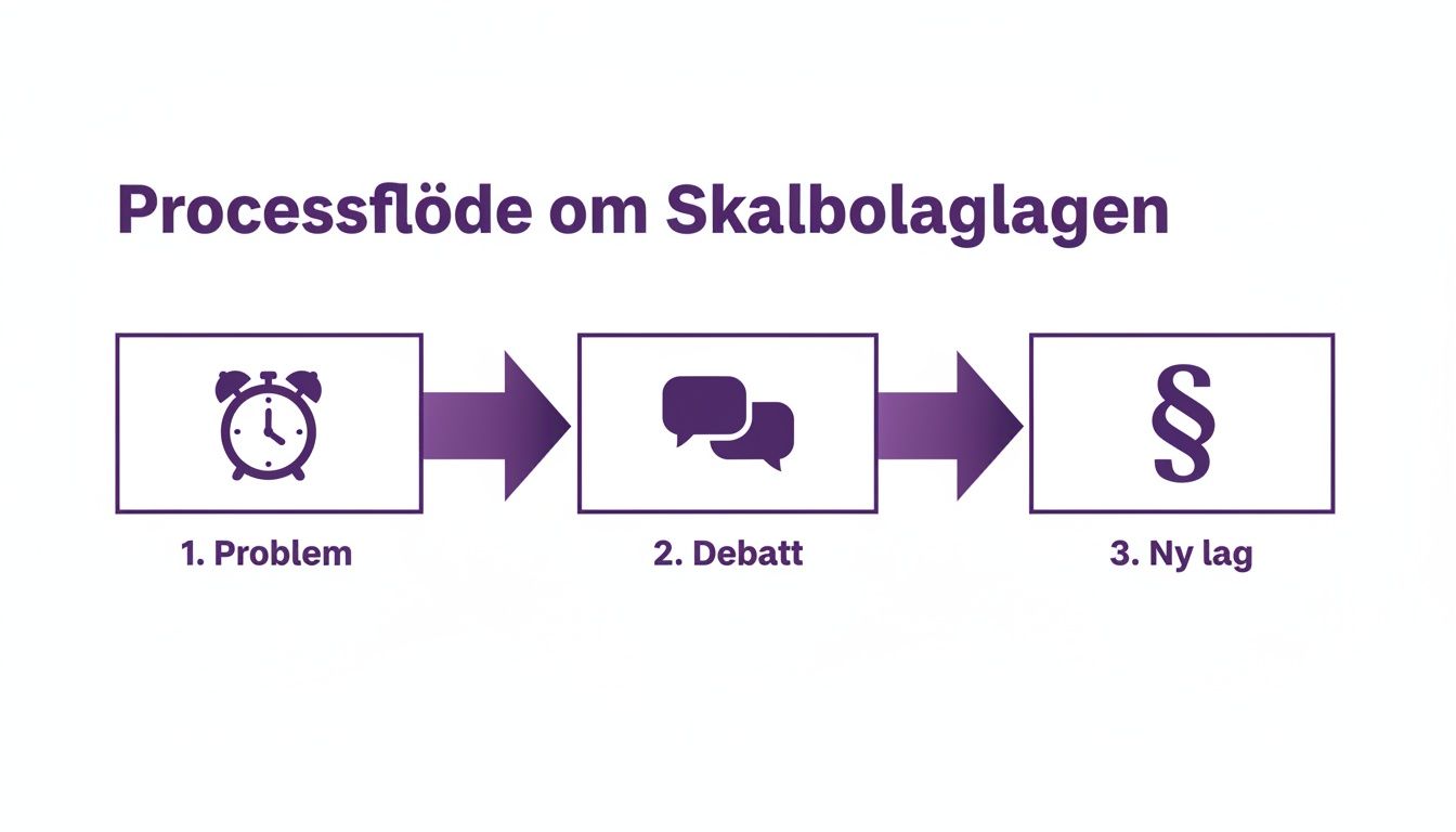 En processflödesdiagram som beskriver stegen från problem till ny lag, med ikoner för larmklocka, pratbubblor och paragraftecken.