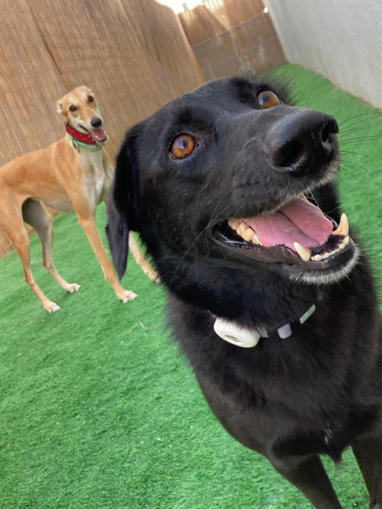 Our Journey Begins with Bella, our partners