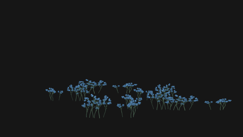 Animated Flowers