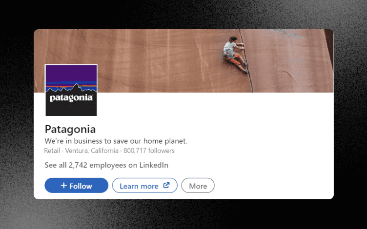 Patagonia LinkedIn Banner