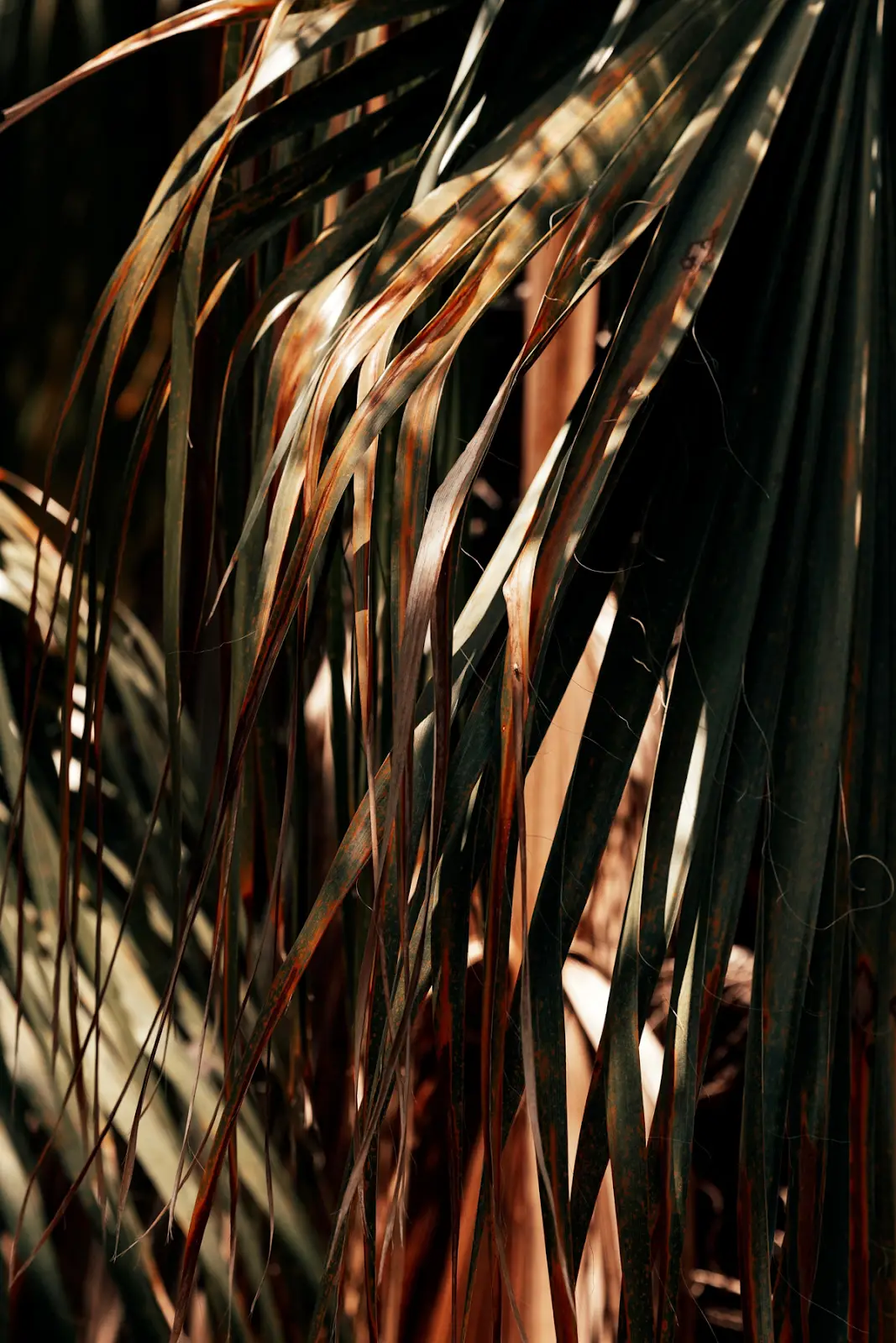 SEINT × 02 — image 07 of 61