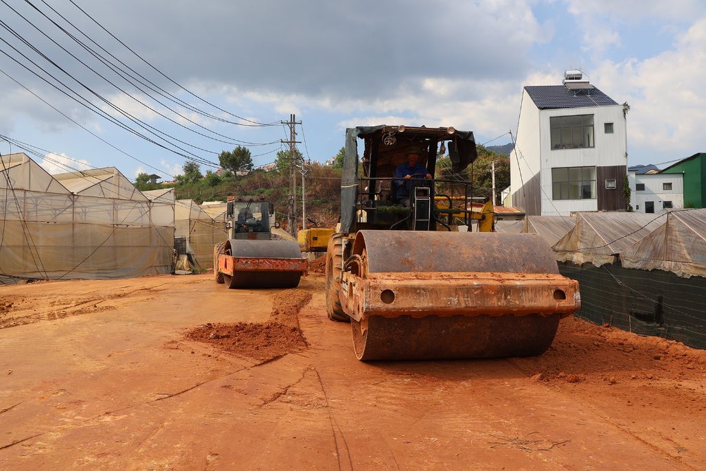 an empty road in the middle of a forest