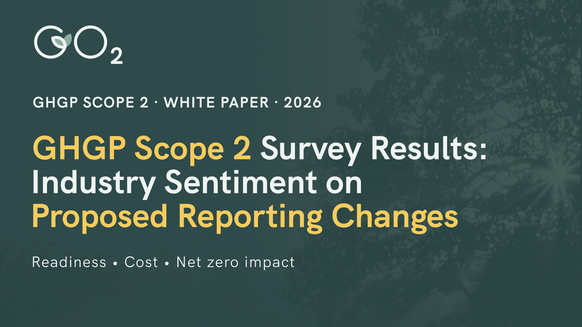 green grass field during sunset