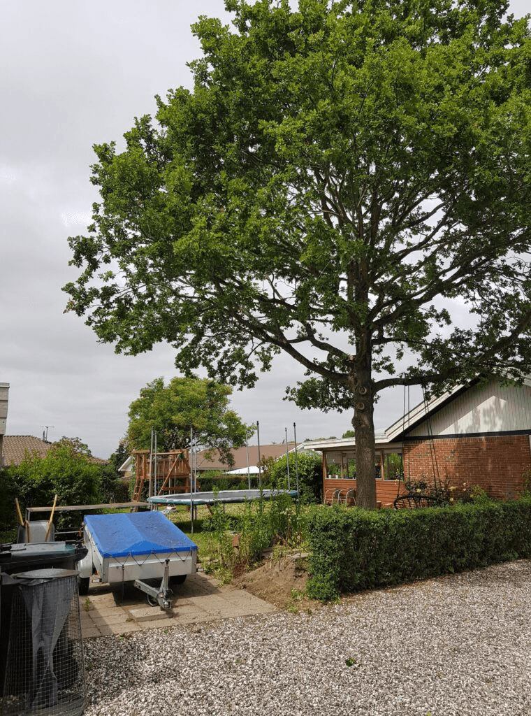 Close-up of a sleek dark green SUV with modern design elements, illuminated against a dark green background.
