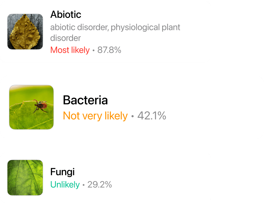 Plant health diagnosis