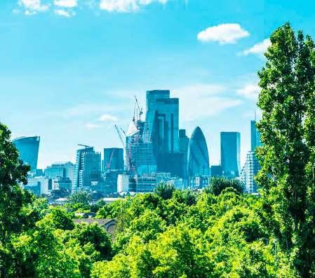 A tree floating on top of an island at night