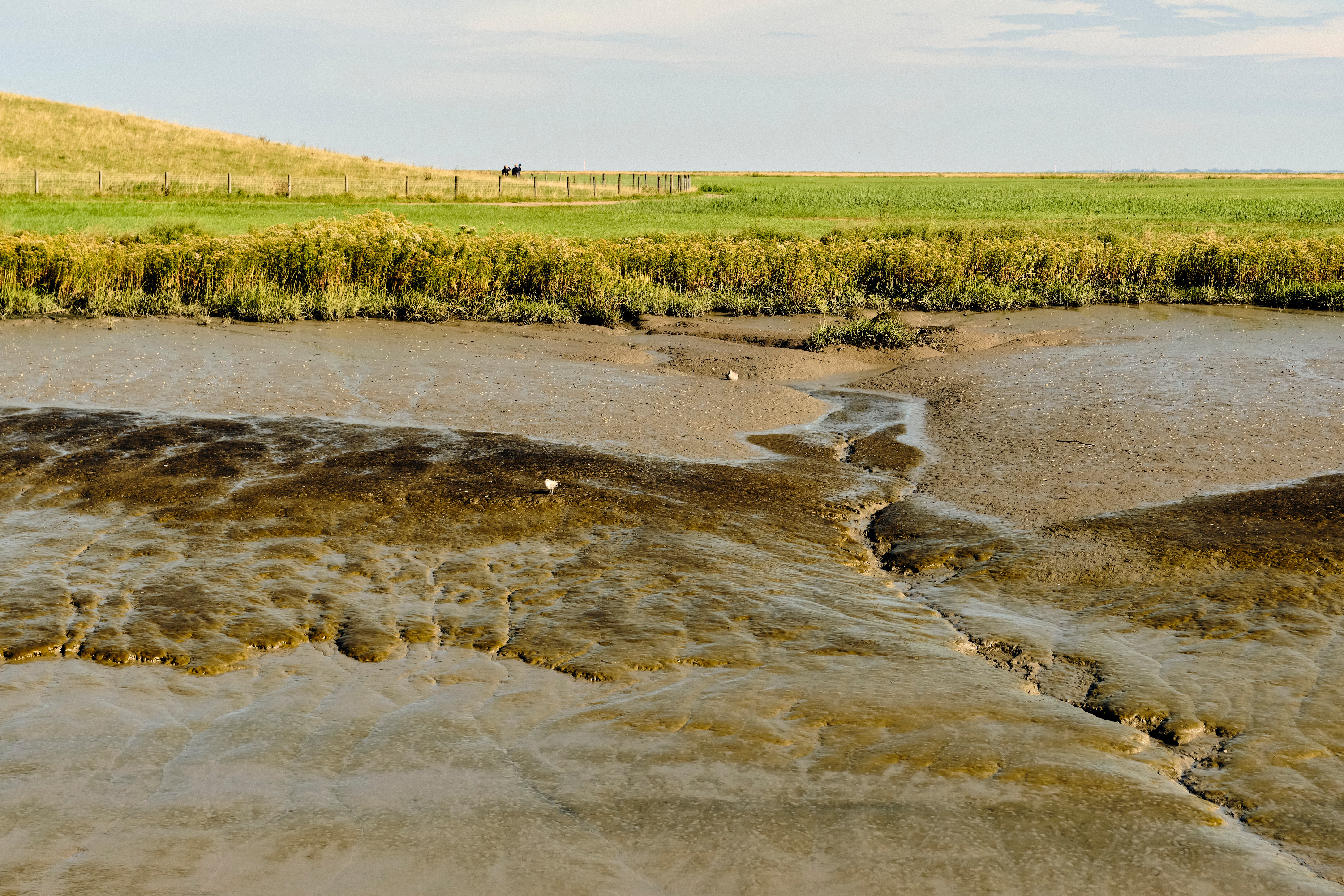 screening dam silt
