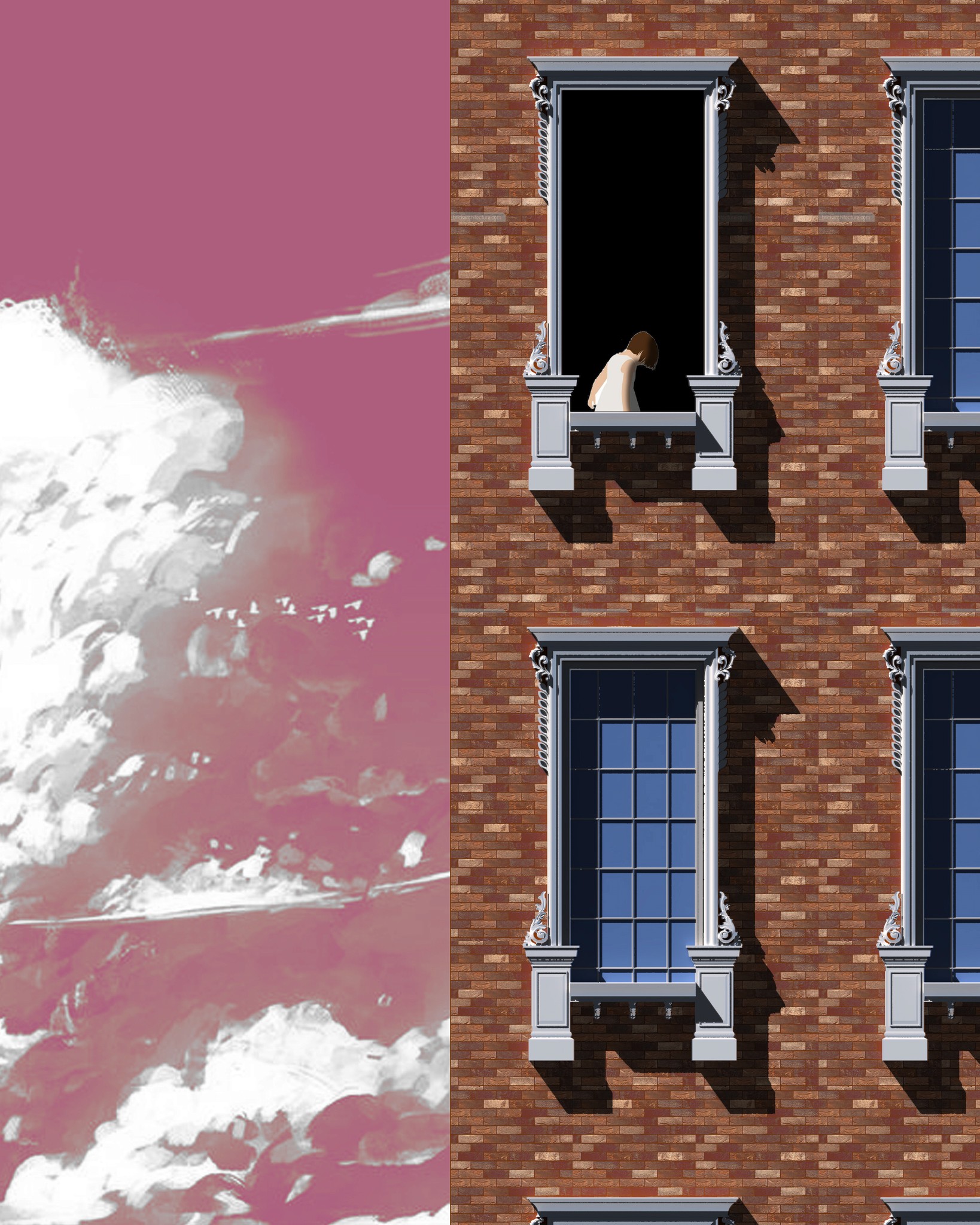 A cat sitting in a window, gazing at the sky beyond.