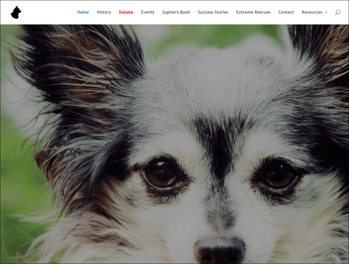 Website homepage screenshot
