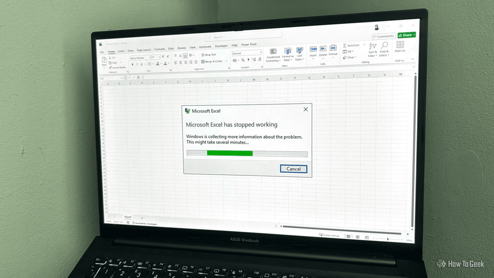 Laptop displaying Microsoft Excel crash error -  How to View Hidden Sheets in Excel