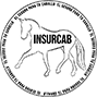Client image