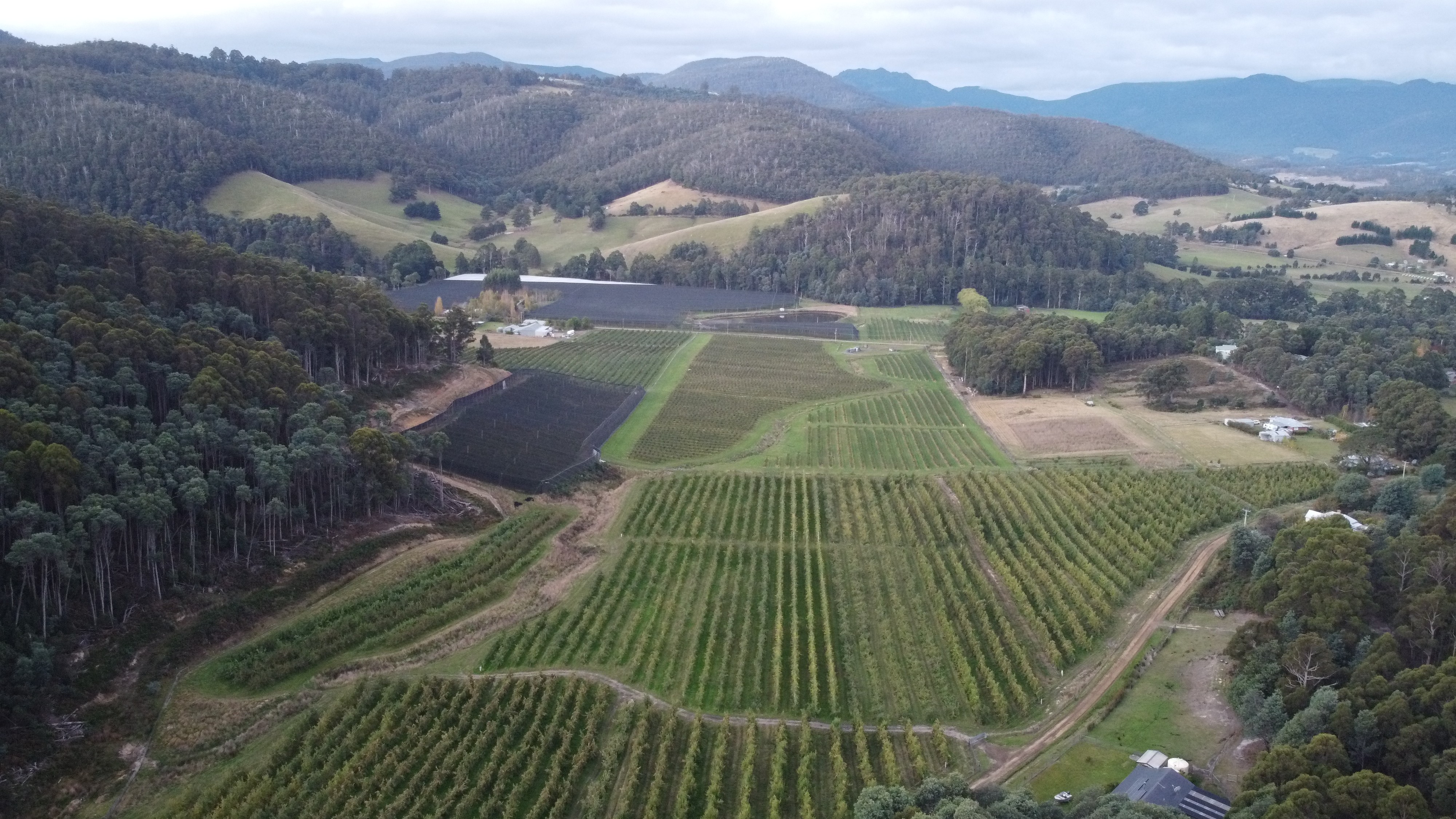 Aeriel View of Field