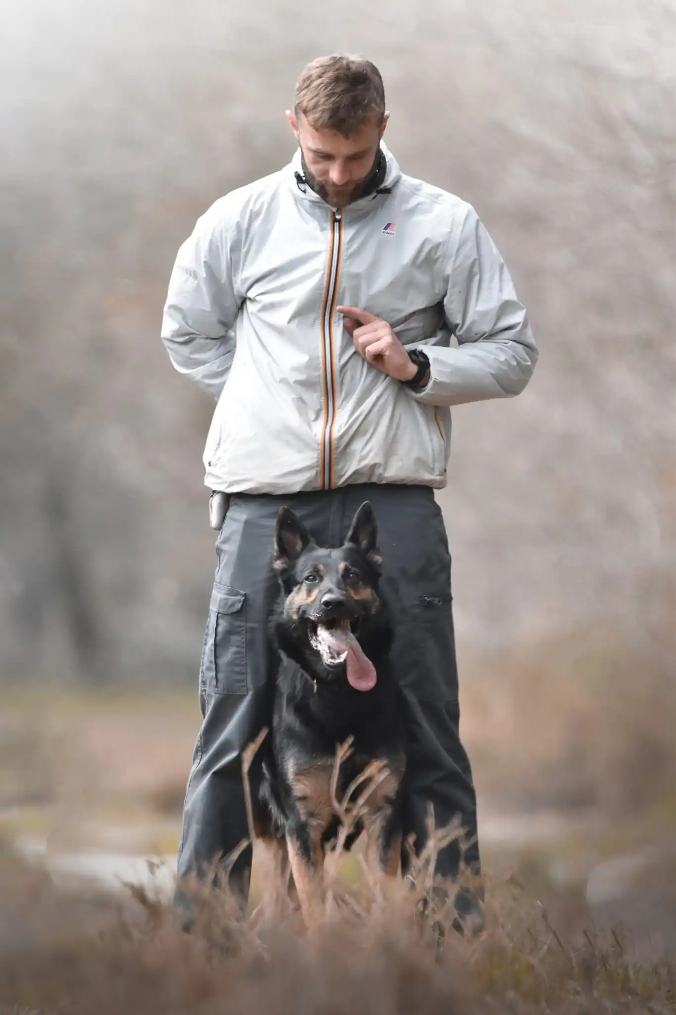 statique entre les jambe d'une berger allemand avec sont educateur