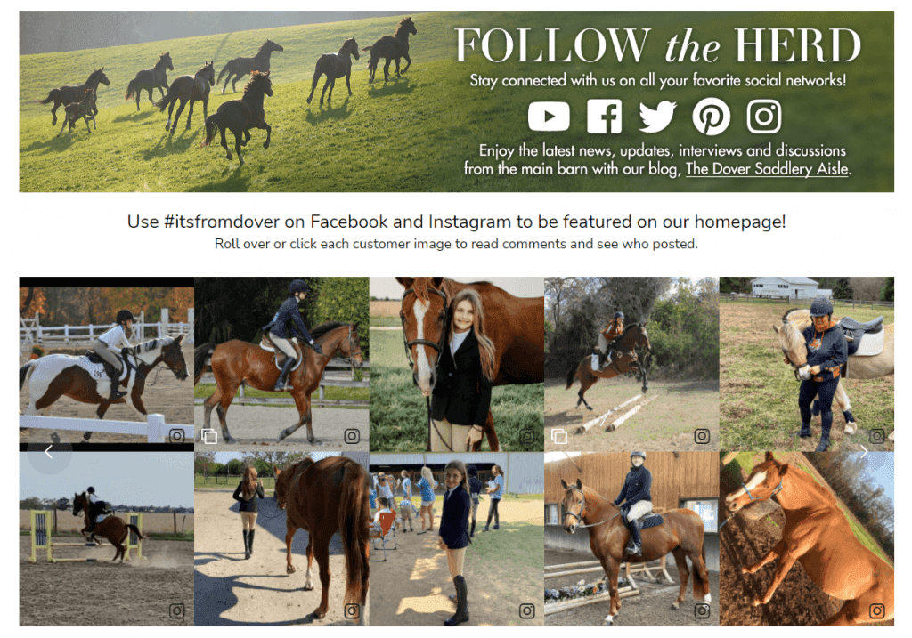 dover saddlery feed example