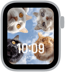 cat crew Apple Watch face preview 1 featuring stylized colors and artwork.